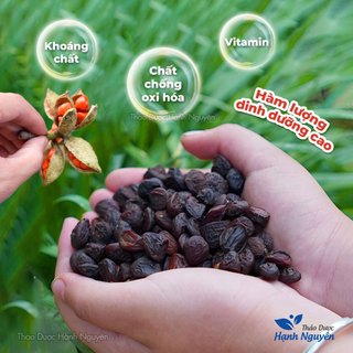 Hạt dổi rừng 100g, hạt dổi nếp Tây Bắc, sạch, thơm, gia vị ướp thịt nướng thơm ngon
