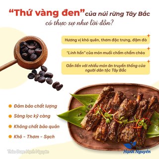 Hạt dổi rừng 100g, hạt dổi nếp Tây Bắc, sạch, thơm, gia vị ướp thịt nướng thơm ngon