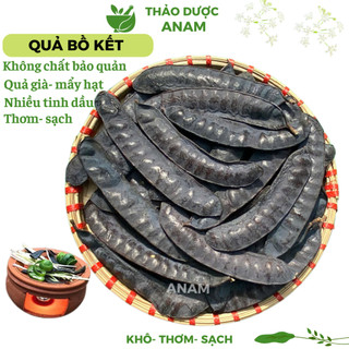 Quả Bồ Kết Khô Gội đầu Bồ kết Xông Nhà trái To Đẹp không chất bảo quản Bồ kết dé BK Thảo dược  Anam