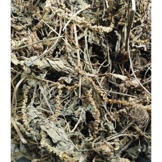 100g cây mã đề sấy khô còn bông, lá mã đề sấy khô