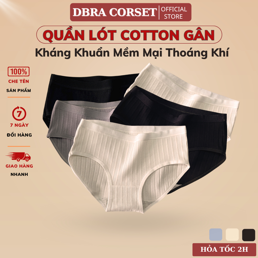 Combo5 Quần Lót Cotton Gân Nổi Lưng Vừa – Co Giãn Tốt, Mềm Mịn, Thấm Hút Thoáng Mát QC.28