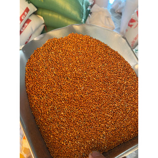 [1kg-5kg] Hạt kê đỏ lớn, thức ăn chuyên dùng cho chim , cu gáy , hamster….