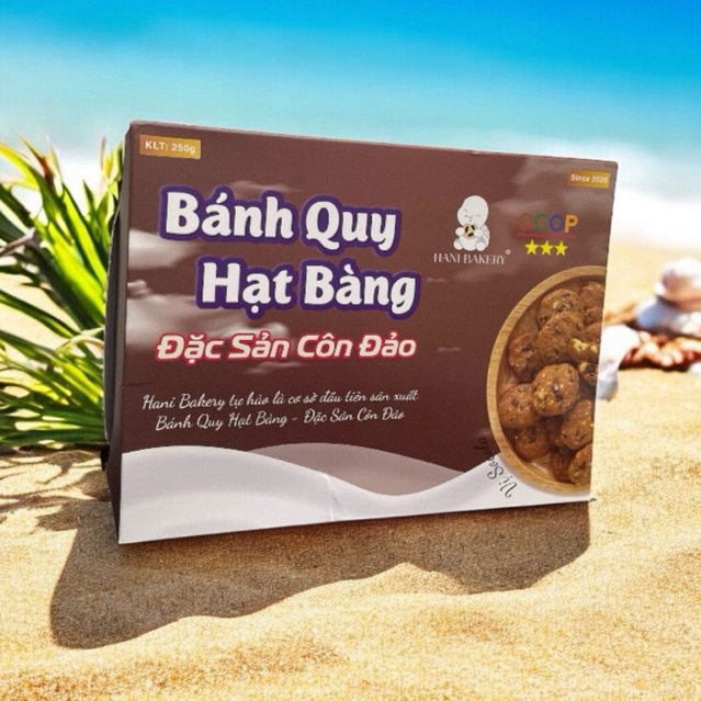 Bánh quy hạt bàng Hảo hạng Côn Đảo vị Premium Choco 250Gr