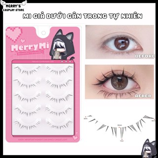  Hộp 5 Cặp Lông Mi Giả Mi Dưới Gân Trong Tự Nhiên Trang Điểm Makeup Cô Dâu Cosplay Anime Douyin 