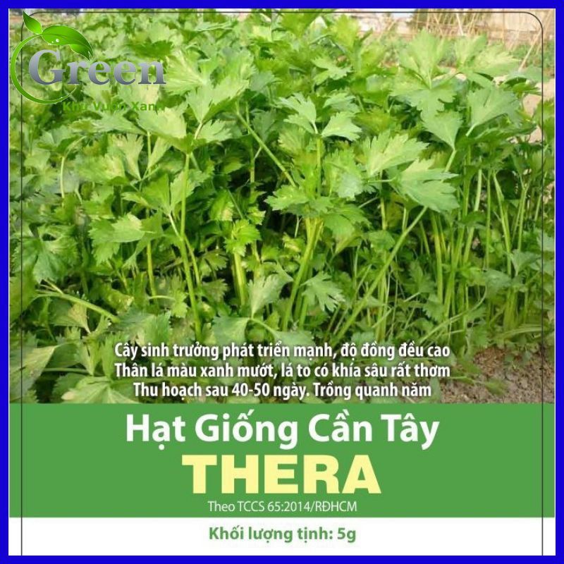 Hạt Giống Cần Tây Thera Trồng Quanh Năm, Phát Triển Tốt (Gói 5 gam ~ 7000 hạt)