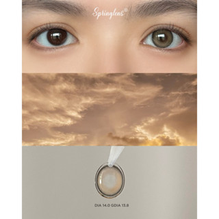 Lens mắt filter hiệu ứng AMA BROWN nâu xám có giãn tròng | Kính áp tròng Springlens
