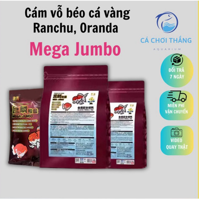  Cám vỗ béo cá vàng Ranchu Mega Jumbo  Hạt chìm - Đầy đủ hàm lượng dinh dưỡng giúp kích size và kích màu rất tốt cho cá 