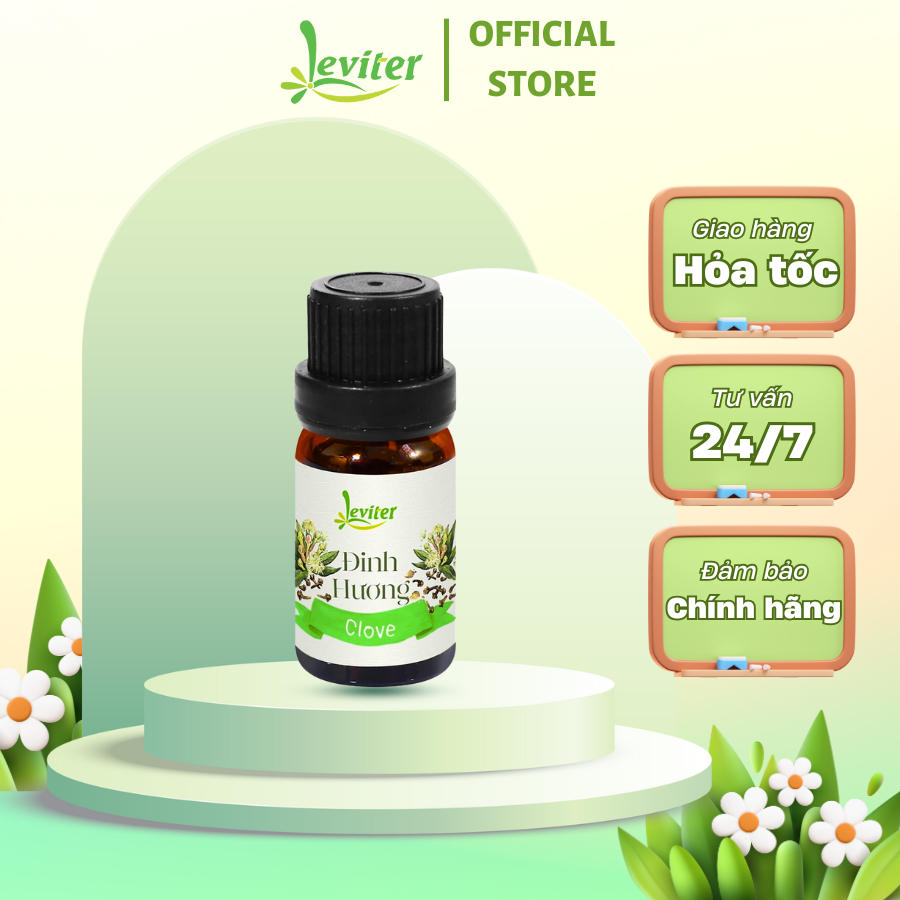 Tinh dầu Đinh Hương Leviter 10ml