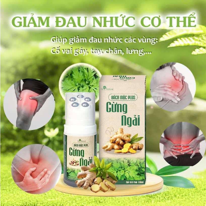 Con Lăn Bách Mộc Plus - Massage Giảm Đau Mỏi Cổ Vai Gáy, Lưu Thông Khí Huyết - I'm Nature 3in1/130ml