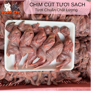 Chim Cút Nguyên Con Tươi Đã Sơ Chế Sạch, Cấp Đông Nướng Làm Phần Thưởng Cho Chó Mèo 1kg - FoodPet - Hỏa Tốc