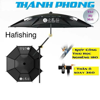  Ô CÂU CÁ TIỂU PHƯỢNG HOÀNG ' THANH PHONG 2M4 