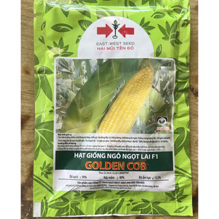HẠT GIỐNG BẮP MỸ GÓI 350 HẠT