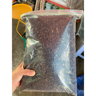  Phân dơi nguyên chất 1000% - túi zip - phân dơi của vườn nhà e ko lấy qua trung gian nên sẽ đảm bảo NGUYÊN CHẤT 