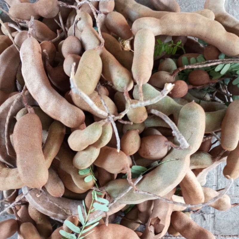 quả me trái me tươi 1kg