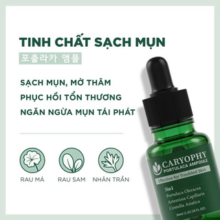 MẪU MỚI Tinh chất Serum rau má giảm mụn mờ thâm Caryophy Portulaca Ampoule 10ml và 30ml