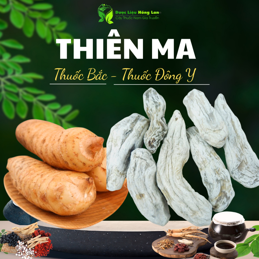 Củ Thiên Ma khô sạch nguyên chất loại 1 - Dược Liệu Hồng Lan