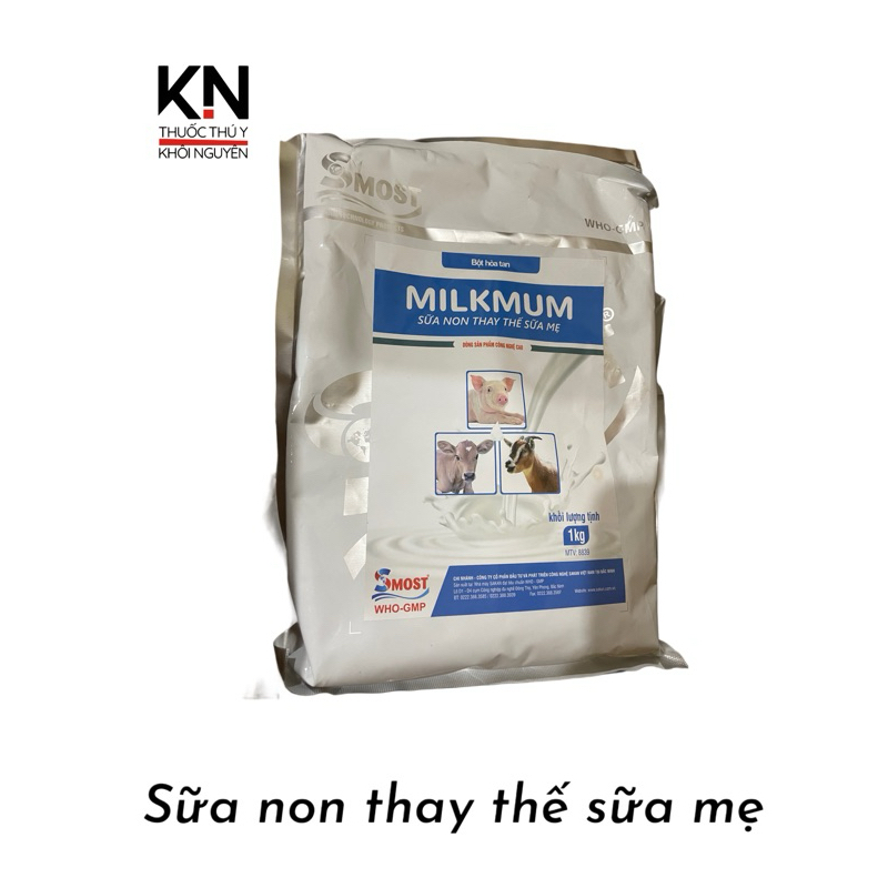 Sữa Non Milk Mum (Bổ sung dinh dưỡng thay thế sữa mẹ) Mẫu mới màu xanh lá