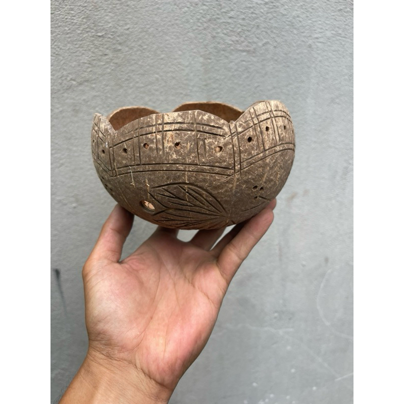 Chậu Gáo Dừa Trồng Hoa Lan ( có khắc hoa văn )