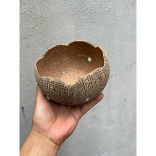 Chậu Gáo Dừa Trồng Hoa Lan ( có khắc hoa văn )