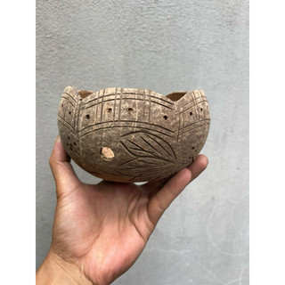 Chậu Gáo Dừa Trồng Hoa Lan ( có khắc hoa văn )