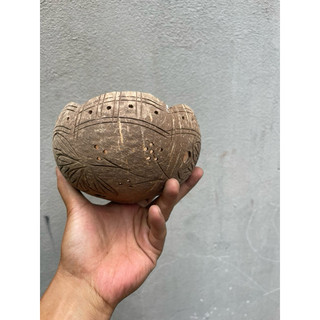 Chậu Gáo Dừa Trồng Hoa Lan ( có khắc hoa văn )