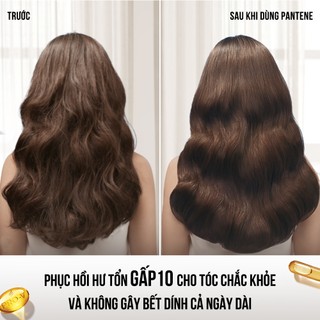 Dầu Gội PANTENE Pro-V Ngăn Rụng Tóc/ Phục Hồi Hư Tổn/ Suôn Mượt Óng Ả - Chai 300ML