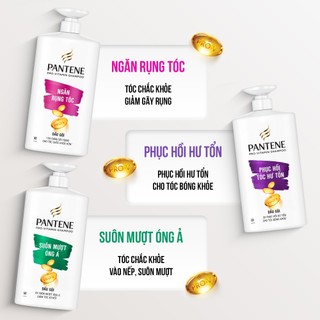 Dầu Gội PANTENE Pro-V Ngăn Rụng Tóc/ Phục Hồi Hư Tổn/ Suôn Mượt Óng Ả - Chai 300ML