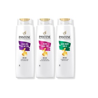 Dầu Gội PANTENE Pro-V Ngăn Rụng Tóc/ Phục Hồi Hư Tổn/ Suôn Mượt Óng Ả - Chai 300ML