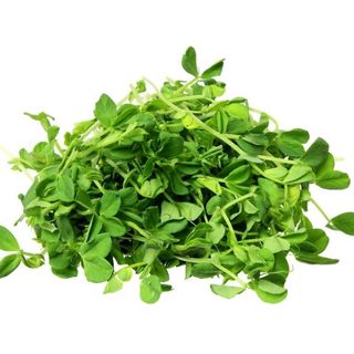Hạt Giống Rau Mầm Đậu Hà Lan Dễ Trồng, Giàu Dinh Dưỡng (Gói 50 gam ~ 400 hạt)