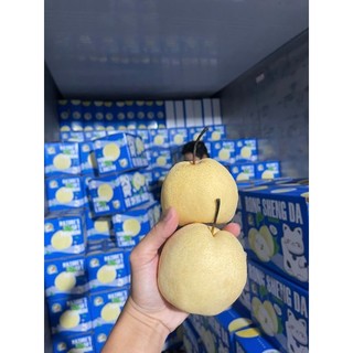 (Hỏa tốc HCM) 900gr-1kg Lê Đường VIP Siêu To Tươi Giòn Ngọt