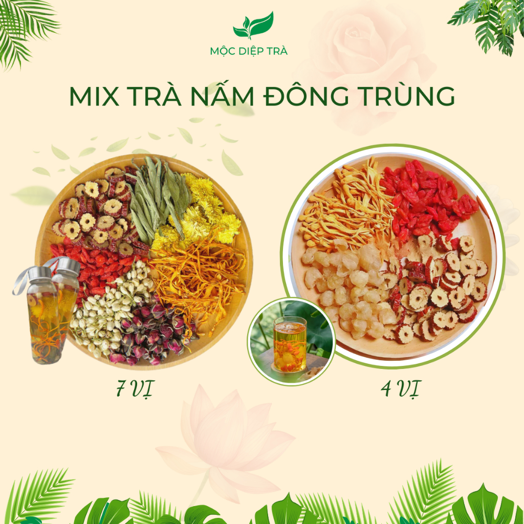 Mix vị trà nấm đông trùng hạ thảo 4 vị, trà đông trùng 7 vị, hộp 30 gói tặng chai thủy tinh