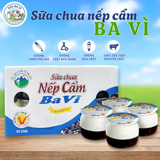  Sữa chua nếp cẩm 100g Ba Vì từ sữa tươi lên men tự nhiên vị thơm ngon ăn vặt dinh dưỡng 