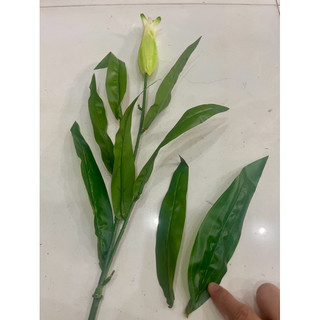 Lá sen nhựa 13*15cm