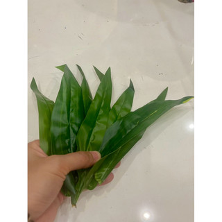 Lá sen nhựa 13*15cm