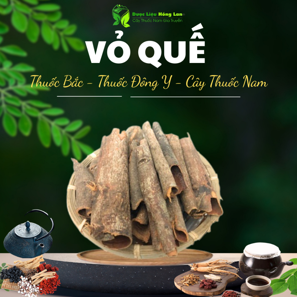 Vỏ Quế Cay sấy khô nguyên chất loại 1 - (loại to, cay thơm, ngon) - Dược Liệu Hồng Lan