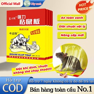 【20 Chiếc】Keo dính chuột Siêu Dính (có mồi) | Miếng keo dán chuột | Miếng bẫy chuột