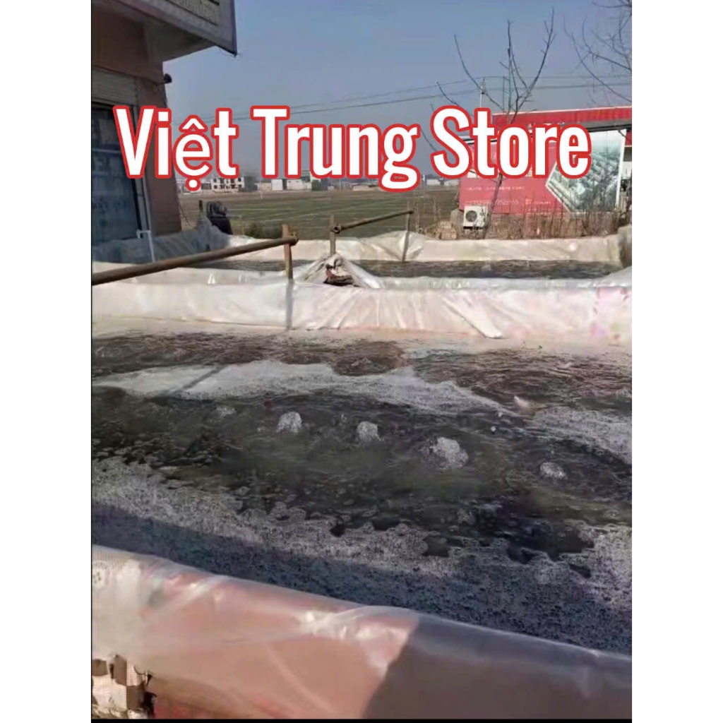 Máy thổi khí,sục oxy con sò 550w sục oxy bể kanet,bể hải sản,bể nuôi cá,bể dèo tôm