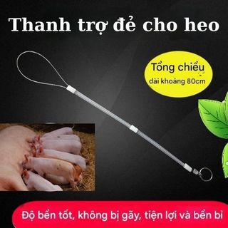 Thanh Đỡ Đẻ Cho Heo – Dụng Cụ Hỗ Trợ Heo Nái Đẻ Khó, Kéo Heo Con An Toàn