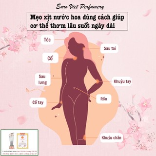 Nước hoa nam TOUGH MAN QUANTUM No.2 nam tính, gợi cảm, thu hút Eau de parfum Lưu Hương 6-12 tiếng 50ml