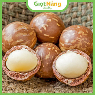   Live  Hạt Macca Đắk Lắk từ Nông Sản Giọt Nắng 