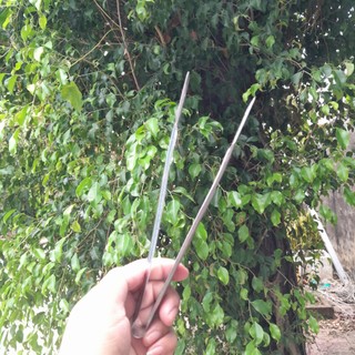[Một cây] Cây gắp nước đá, thực phẩm chống trượt - chiều dài 18cm
