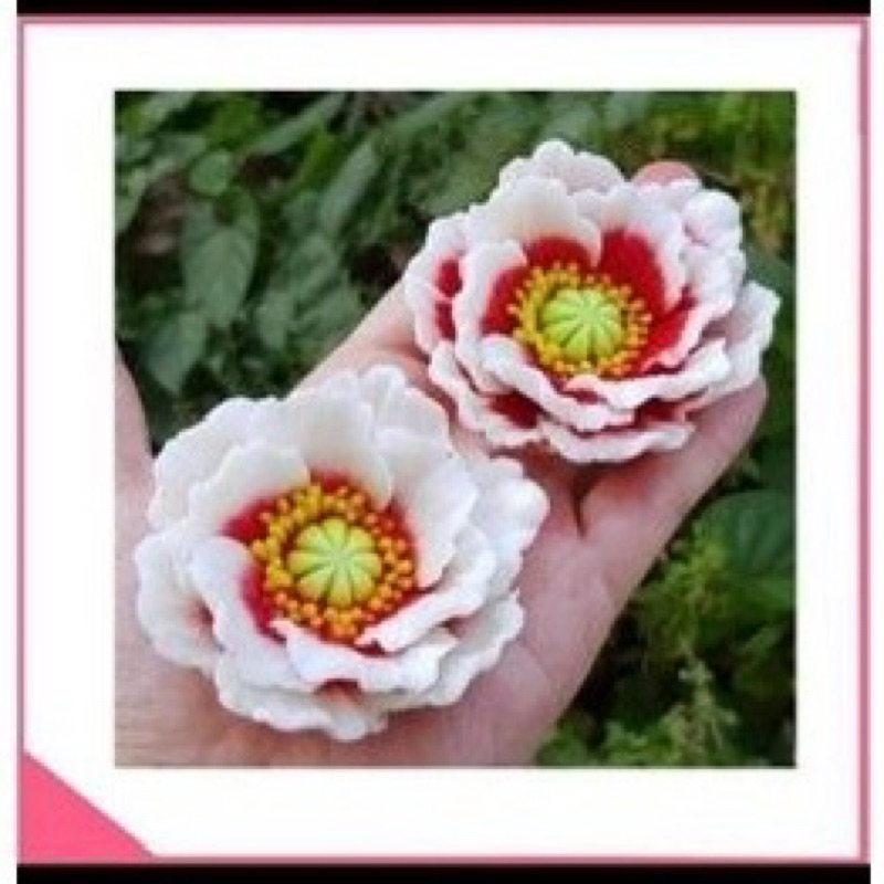 khuôn silicon hoa mẫu đơn hoa cẩm chướng