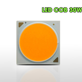 Mắt led cob 30w