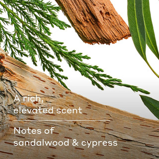Sữa Tắm Harry's Wildlands Sandalwood & Cypress 532ML