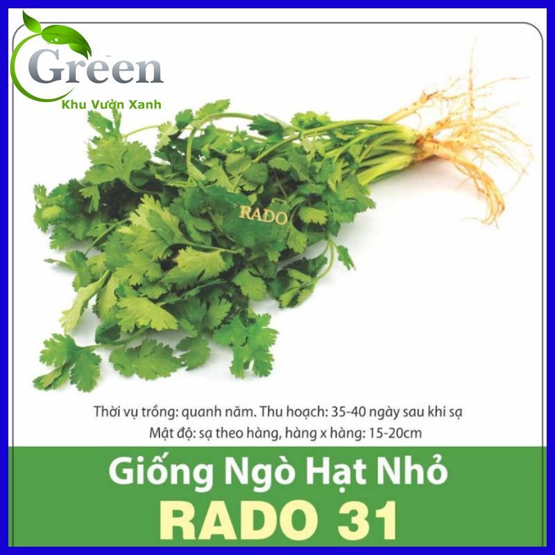 Hạt Giống Ngò Rí Hạt Nhỏ Dễ Nảy Mầm, Nhanh Thu Hoạch (Gói 20 Gam ~ 3000 hạt)