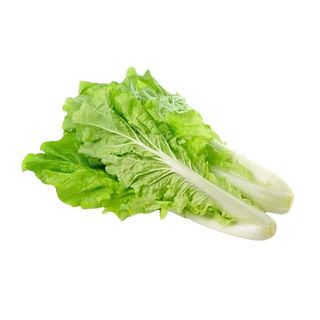 Hạt Giống Cải Bẹ Dún Dễ Trồng, Nhanh Thu Hoạch