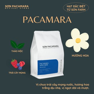   New Crop 2025  Specialty Coffee Gói Đặc Biệt Pacamara Từ Sơn Farm Rang Sáng Gói 100gr 250gr 