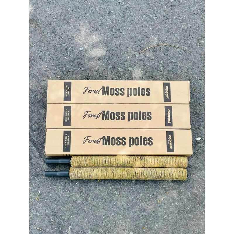 COMBO TRỤ RÊU GHÉP NỐI THÔNG MINH N66