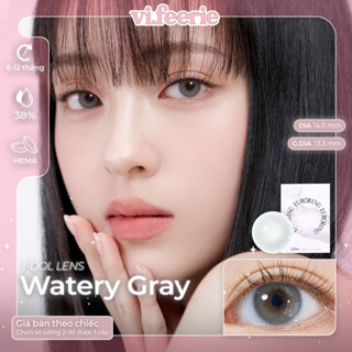   I-DOL  Kính áp tròng xám xanh ánh nâu 6 tháng EURORING WATERY GRAY Lens - VF LENS 