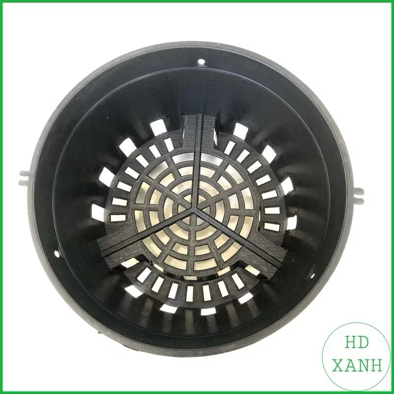 10 chậu lan đen F14